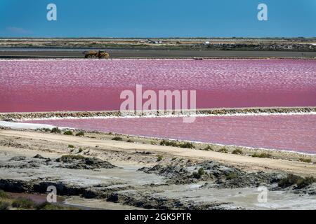 Abstrakte Landschaft aus rosa Salzpfannen in der Saline de Giraud in der Camargue in der Provence, Südfrankreich Stockfoto