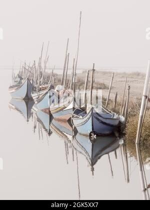 Traditionelle hölzerne Fischerboote aus Ria de Aveiro, Portugal, werden in einem nebligen Morgen festgemacht. Stockfoto