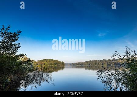 Windsor Great Park at Dawn, London, Großbritannien Stockfoto