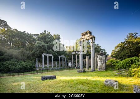 Windsor Great Park at Dawn, London, Großbritannien Stockfoto