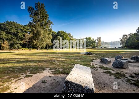 Windsor Great Park at Dawn, London, Großbritannien Stockfoto