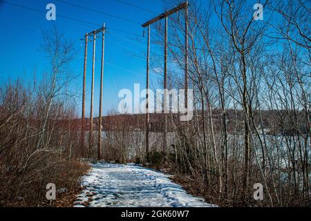 Stromleitungen entlang des Trans canada Trail im Shubie Park Stockfoto