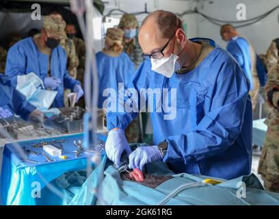 LT. Col. James Feguson, ein Armee-OBGYN mit dem 18. Field Hospital, führt eine Operation an einem Animatronic-Trainingshund durch, während LT. General Jody Daniels, Chef der Army Reserve und Kommandierender General des U.S. Army Reserve Command, Besuch der Combat Support Training Exercise (CSTX) und Global Medic in Fort McCoy, Wisconsin, 11. August 2021. Stockfoto