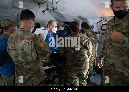 Das 7301st Medical Training Support Bataillon bereitet sich zusammen mit untergeordneten Einheiten der 332nd Medical Brigade darauf vor, auf „Diesel“ zu operieren, einem animatronischen Hund, der während der Combat Support Training Exercise und Global Medic in Fort, McCoy, Wisconsin, ein realistisches Training simuliert. Ein Grund für die Arbeit an Tieren in der Simulation ist, dass es selten Tierärzte auf dem Feld gibt, dies hilft, die Feldlazarette auf die Behandlung von Tieren wie militärischen Arbeitshunden vorzubereiten. 18. August 2021. Stockfoto