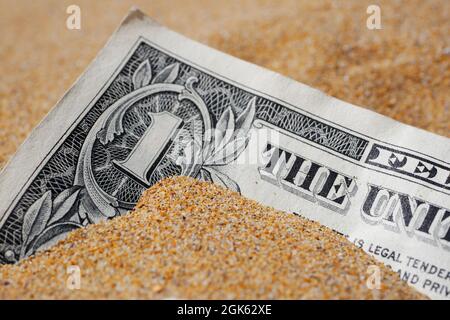 Makro einer im Sand vergrabenen Banknote von einem Dollar. Stockfoto