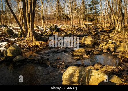 Grassy Brook Stockfoto