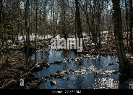 Grassy Brook Stockfoto