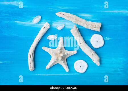 Muscheln, Seesterne und Zweige vom Meer auf blauem Hintergrund poliert. Stockfoto