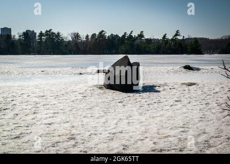 Ein Paar Hunde, die im Winter auf dem gefrorenen Lake Micmac herumlaufen Stockfoto