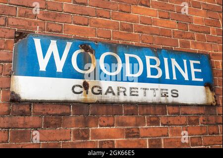 Altmodisches rostig Metall-Schild, das auf einer Ziegelwand für Woodbine-Zigaretten wirbt Stockfoto