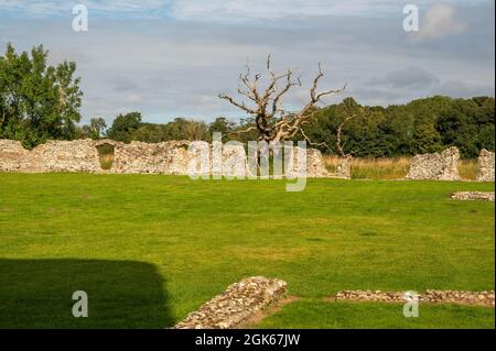 Ausgedehnte Ruinen von Baconsthorpe Castle, einem mit Wassergraben bebauten und befestigten Herrenhaus aus dem 15. Jahrhundert, die ein Beweis für den Aufstieg und Fall einer Norfolk-Familie sind Stockfoto