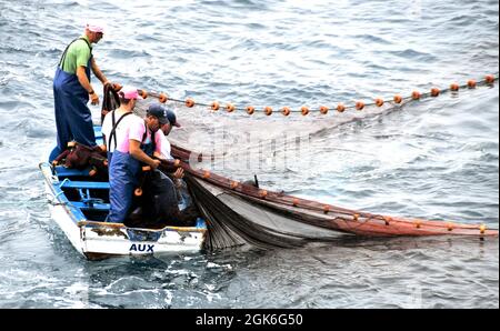 Madeira, Portugal - Februar 2016: Fischer auf einem kleinen Ruderboot, das in einem schweren Fischernetz schleppt Stockfoto