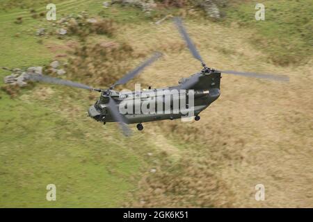 RAF Chinook Helikopter, Seriennummer ZA680, mit niedrigem Flugniveau in der 'Mach Loop'-Region von Wales, Vereinigtes Königreich. Stockfoto