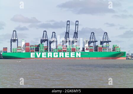 Das Containerschiff Ever Ace dockte im Hafen von Felixstowe, Suffolk, Großbritannien, an. Stockfoto