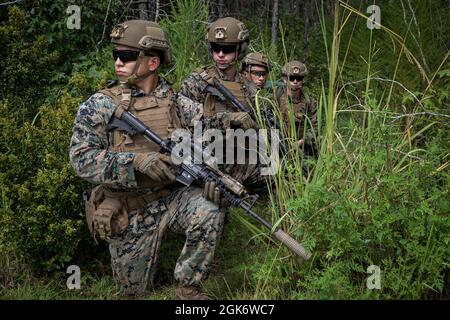 U.S. Marines mit dem 2d Combat Engineer Bataillon, 2d Marine Division, während eines Anti-Personen-Hindernisdurchbruchssystems (APOBS) in Camp Lejeune, N.C., 18. August 2021. Die APOBS ist ein Sprengstoffladestystem, das manuell platziert und abgefeuert wird, um Truppen im Kampf einen Fußpfad zu räumen. Stockfoto