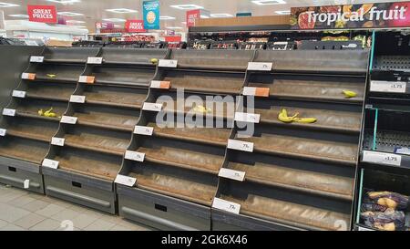 London, Großbritannien. September 2021. In der Clapham High Street Filiale von Sainsbury's Supermarkt sind lose Bananen fast vollständig ausverkauft, obwohl es gleich um die Ecke Bananenbeutel gab. Im Bereich der Milchkühlanlagen wurden besondere Anzeichen dafür gemacht, dass Lücken in den Regalen auf eine hohe Nachfrage zurückzuführen sind, aber es ist bekannt, dass aufgrund des perfekten Sturms des Brexit und der Pandemie Probleme mit der Verteilung auftreten, die auf LKW-Fahrermangel zurückzuführen sind. Quelle: Anna Watson/Alamy Live News Stockfoto