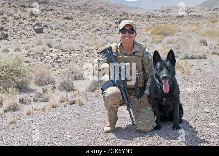 ARTA, Dschibuti (19. August 2021) U.S. Navy Master-at-Arms 2. Klasse Tayler Hudson aus Sigonella, Italien, arbeitet mit ihrem Military Working Dog (MWD), Bojar, am Dschibuti Range Complex, Dschibuti, 19. August 2021. Hudson ist derzeit in Camp Lemonnier, Dschibuti (CLDJ) stationiert, das als Expeditionskreuzbasis für US-Streitkräfte dient, die Schiffe, Flugzeuge und Personal unterstützen, die die Sicherheit in ganz Europa, Afrika und Südwestasien gewährleisten. CLDJ ermöglicht See- und Kampfeinsätze am Horn von Afrika und fördert gleichzeitig positive Beziehungen zwischen den USA und Afrika. Stockfoto