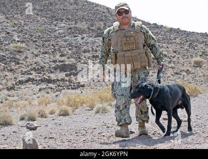 ARTA, Dschibuti (19. August 2021) Miguel Romero aus Los Angeles, Waffenmeister der US-Marine der 2. Klasse, arbeitet mit seinem Militärarbeitshund (MWD), Max, am Dschibuti Range Complex, Dschibuti, 19. August 2021. Romero ist derzeit in Camp Lemonnier, Dschibuti (CLDJ) stationiert, das als Expeditionierungsbasis für US-Streitkräfte dient, die Schiffe, Flugzeuge und Personal unterstützen, die die Sicherheit in ganz Europa, Afrika und Südwestasien gewährleisten. CLDJ ermöglicht See- und Kampfeinsätze am Horn von Afrika und fördert gleichzeitig positive Beziehungen zwischen den USA und Afrika. Stockfoto