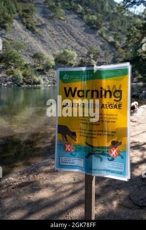 Warnschild für blaugrüne Algen am Green Lochan bei Glenmore in Schottland. Verschwommener Hintergrund von Lochan und Hanglage. Sonniger Tag, keine Menschen. Stockfoto