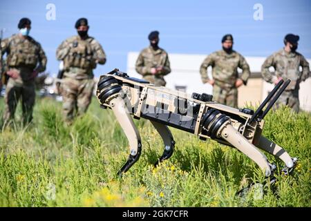 Die Flieger der 75. Sicherheitskräfte-Staffel wurden am 24. August 2021 auf der Hill Air Force Base, Utah, mit einer Demonstration eines vierbeinigen unbemannten Bodenfahrzeugs, auch bekannt als Roboterhund, befahren. Der Q-UGV, auch als Roboterhund bekannt, hat den Zweck, die Sicherheit zu erhöhen, indem die Sicherheitskräfte die Fähigkeit zur Patrouille und Überwachung der Installation erhöhen. Stockfoto