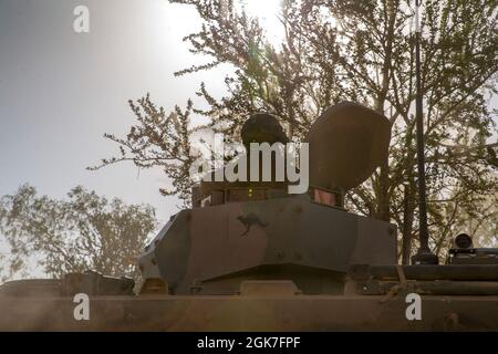 Ein Soldat der australischen Armee sitzt im Turm eines australischen Panzerpersonalträgers M113AS4, der vor Beginn einer Probefahrt im Bradshaw Field Training Area, NT, Australien, am 25. August 2021 auf einen Zielpunkt zufährt. Die Probeläufe waren in Vorbereitung auf ein Live-Feuer-Event zwischen Marines und der australischen Armee für die Übung Koolendong. Übung Koolendong bestätigt die Fähigkeit der Marine Rotationstruppe – Darwins und der australischen Verteidigungskräfte, Expeditions- und Kontrolloperationen durchzuführen, was die gemeinsame Verpflichtung zeigt, bereit zu sein, auf einen Cri zu reagieren Stockfoto