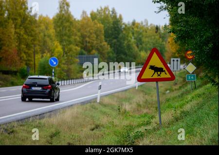 Verkehrsschild Warnung vor der Überquerung von Elchen auf einer Autobahn in Schweden Stockfoto