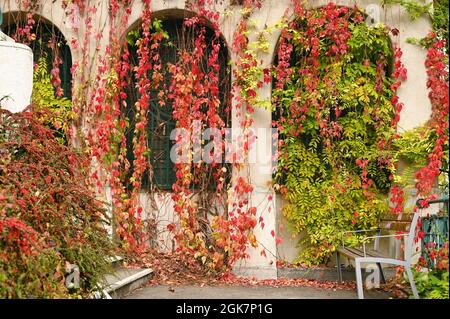 Strudlhofstiege Treppenhaus Detail Herbst Saison Wien Stockfoto