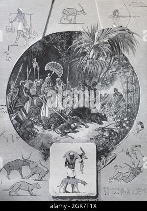 Pharaonen auf der Jagd in Nubien. Gravur des 19th. Jahrhunderts. Stockfoto