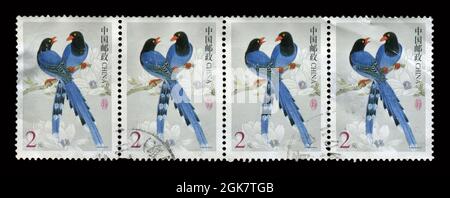 4 STÜCK SET Stempel gedruckt in China zeigt Bild der Vögel, um 2016. Stockfoto