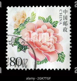 Die in China gedruckte Marke zeigt das Bild der Rose, um 2014. Stockfoto