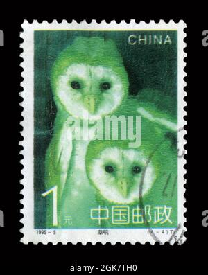 Die in China gedruckte Briefmarke zeigt das Bild des Eulen-Vogels von 1995-5, um 1995. Stockfoto