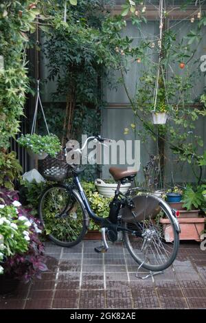 Das Fahrrad einer lokalen Person parkte zwischen Topfpflanzen auf einer Terrasse, Kyoto, Japan Stockfoto