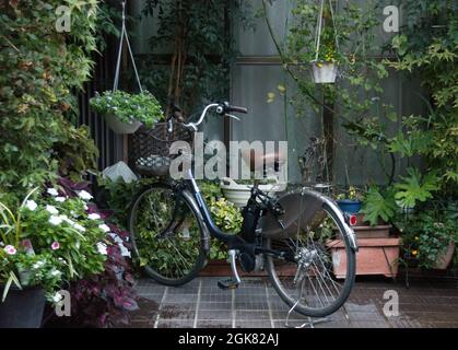 Das Fahrrad einer lokalen Person parkte zwischen Topfpflanzen auf einer Terrasse, Kyoto, Japan Stockfoto