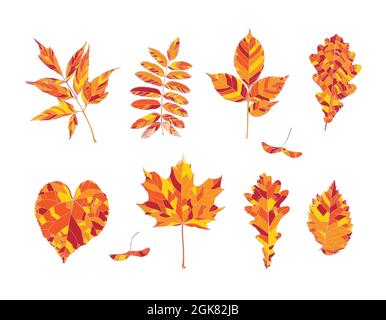 Set aus handgezeichneten orangen, roten und gelben Herbstblättern - Ahorn, Ahornsamen, Aschenholz, Eberesche, Esche, Eiche, Linde, Ulme, isoliert auf weißem Hintergrund. Vektorgrafik Stock Vektor