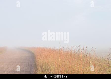 Schotterstraße im Nebel mit bunten Präriegräsern. Stockfoto