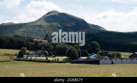 Dumgoyne Hill, Campsie Fells, von dem Pfad, der vom West Highland Way und dem John Muir Way Wanderweg im Strathblane Valley, Schottland, geteilt wird. Stockfoto