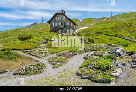 Botanischer Garten am Little Saint Bernard Pass an einem Sommernachmittag zwischen Italien und Frankreich. Stockfoto