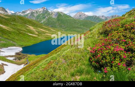 Schöne Landschaft am Kleinen Sankt Bernhard Pass an einem Sommernachmittag, zwischen Italien und Frankreich. Stockfoto