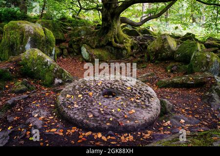 Alte Mühle Stein liegt auf dem Boden des Waldes Padley Schlucht Derbyshire UK Stockfoto