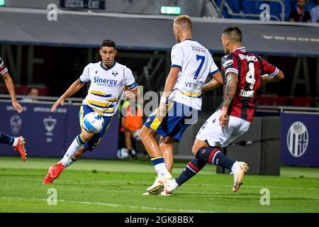 Bologna, Italien. September 2021. Davide Faraoni (Verona) trägt den Ball zu Antonin Barak (Verona), behindert durch Kevin Bonifazi (Bologna) während des FC Bologna gegen den FC Hellas Verona, Italienisches Fußballspiel der Serie A in Bologna, Italien, September 13 2021 Quelle: Independent Photo Agency/Alamy Live News Stockfoto