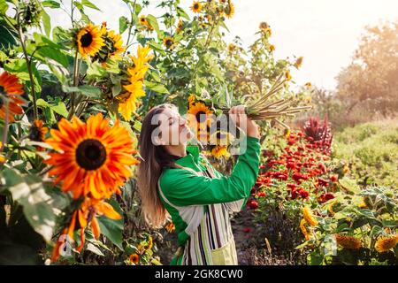 Gärtnerin hält Strauß von gelben Sonnenblumen im Sommergarten riechende Schnittblumen Ernte am Morgen auf Blumenfarm Stockfoto