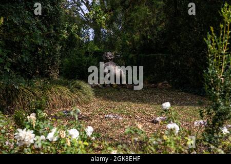 Valsanzibio, Padua - Italien, 11. September 2021: Garten der Villa Barbarigo in Valsanzibio, Padua. Stockfoto