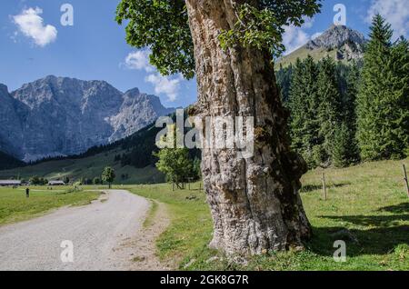 Von der eng können Sie viele Wander- und Bergtouren machen. Der 700 m Fußweg von einem großen Parkplatz zum Almdorf, umgeben von schöner Natur. Stockfoto