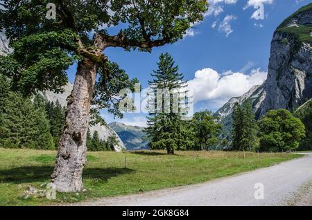 Von der eng können Sie viele Wander- und Bergtouren machen. Der 700 m Fußweg von einem großen Parkplatz zum Almdorf, umgeben von schöner Natur. Stockfoto