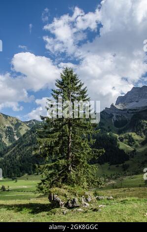 Von der eng können Sie viele Wander- und Bergtouren machen. Der 700 m Fußweg von einem großen Parkplatz zum Almdorf, umgeben von schöner Natur. Stockfoto