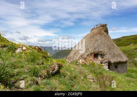 Kleines Haus mit schäbigen Steinmauern und Strohdach auf einem grünen grasbewachsenen Hügel unter blauem bewölktem Himmel in Saliencia Somiedo in Spanien Stockfoto