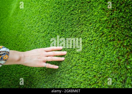 Im Gartengeschäft können Sie nicht erkennbare weibliche Shopper in Ringen mit weichem, saftigem, grünen Gras bepflanzen Stockfoto