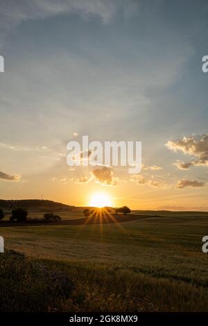 Malerischer Blick auf die Sommerwiese mit üppigen Bäumen unter flauschigen Wolken und Sonnenstrahlen in der Nacht Stockfoto