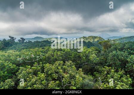 Nebelwald bedeckt Reserva Biologica Bosque Nuboso Monteverde, Costa Rica. Stockfoto