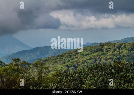 Nebelwald bedeckt Reserva Biologica Bosque Nuboso Monteverde, Costa Rica. Stockfoto